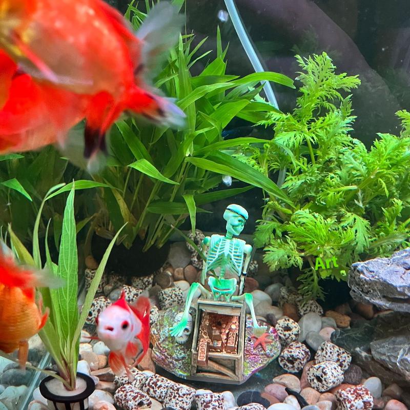 Aquarium Aërobe Landschap Bubb - Marine Aquarium Hobby recensie en prijs